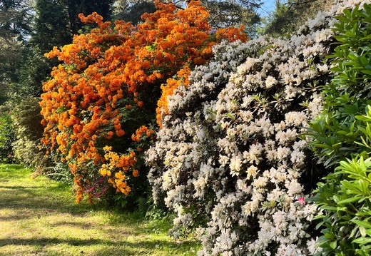 23-06-03 16-57-13 5807